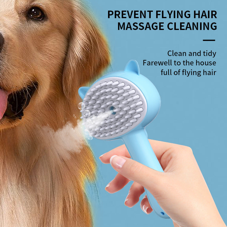 Hair Cleaning Brush With Mist Multifunctional