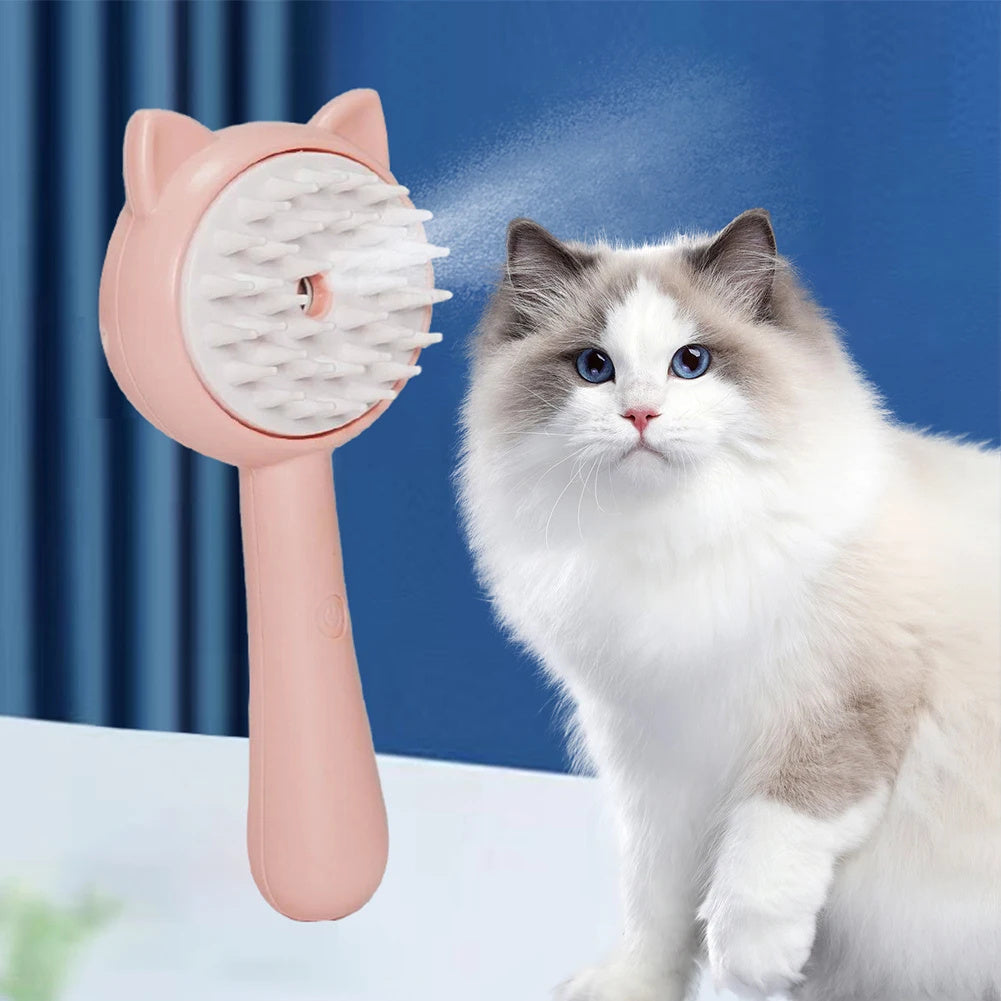 Hair Cleaning Brush With Mist Multifunctional