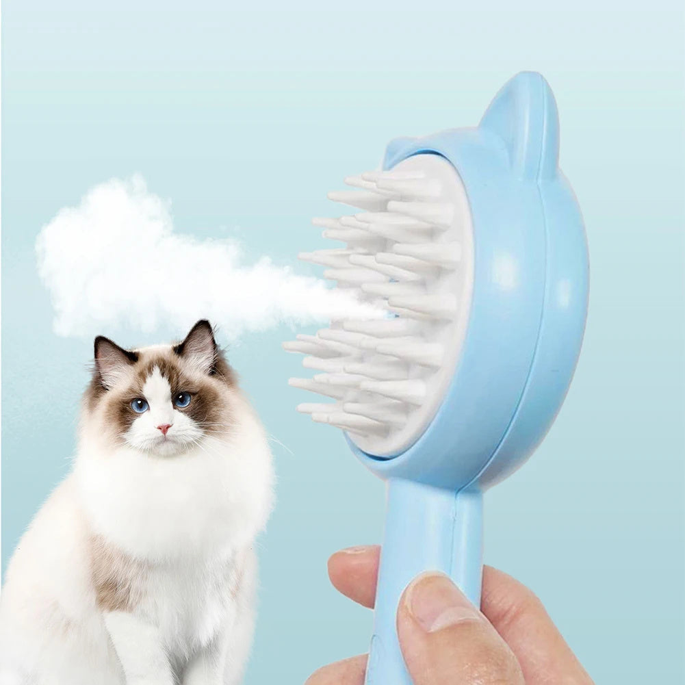 Hair Cleaning Brush With Mist Multifunctional