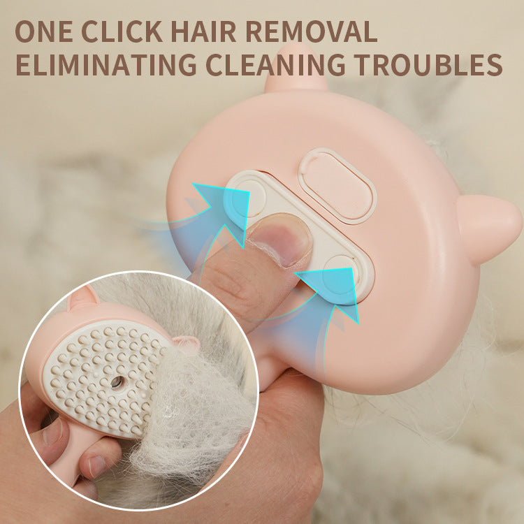 Hair Cleaning Brush With Mist Multifunctional